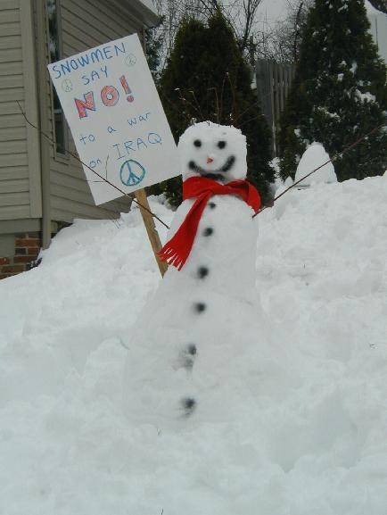 Suburban Snow Activi...