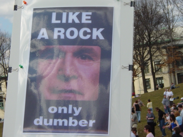 dumb as a rock...