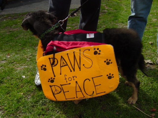 Paws For Peace...
