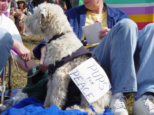 Pups for Peace/And P...