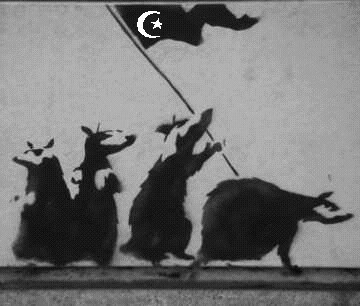 a rat is a rat is a ...