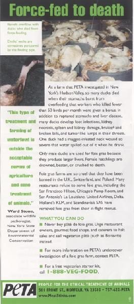 PETA literature dist...