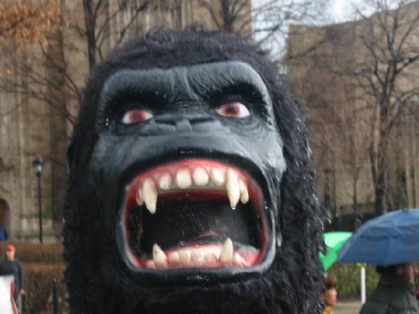 Gorilla...