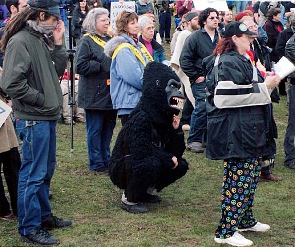 Our favorite gorilla...
