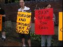Voices for Animal Liberation keeps pressure on Lucca