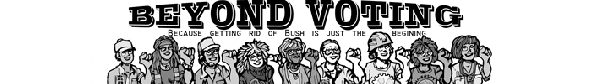 Democracy Is Not a S...