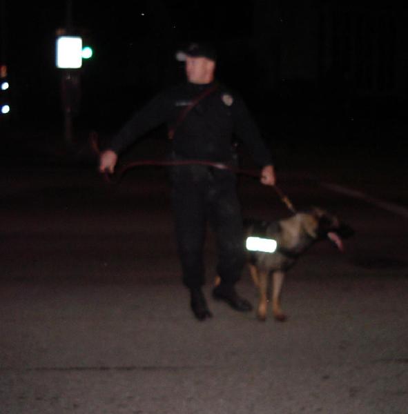 Police With Dogs...