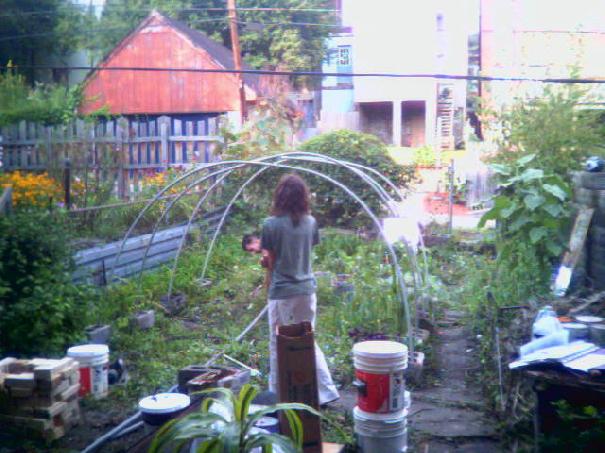 Green house building...