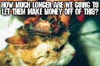 Washington Mutual Fund Animal/Human Suffering
