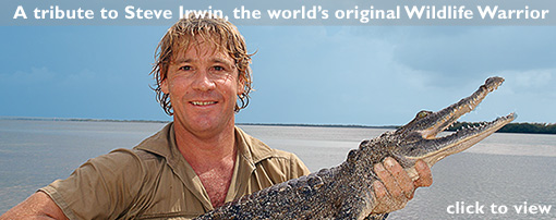 The World’s Origin...