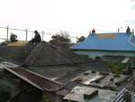 activists on roof...