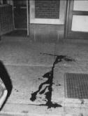 The FBI's War on Black Liberation: COINTELPRO and the Panthers
