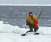 Canada moves to make baby Seal clubbing an Olympic Sport