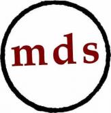 MDS WORKSHOP-MEETING at the US SOCIAL FORUM