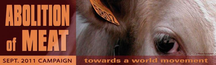 World Week for the A...