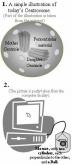 Centrioles that are perpendicular to each other